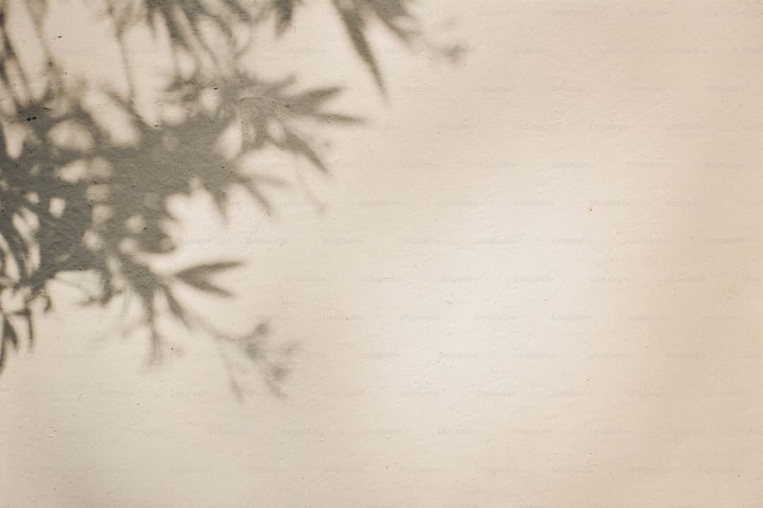 http://upload.mnw.cn/2024/1202/1733107782134.jpg